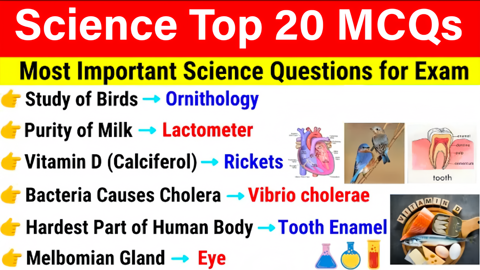 Science Gk For All SSC Exam | Science Gk - Mehul Jain